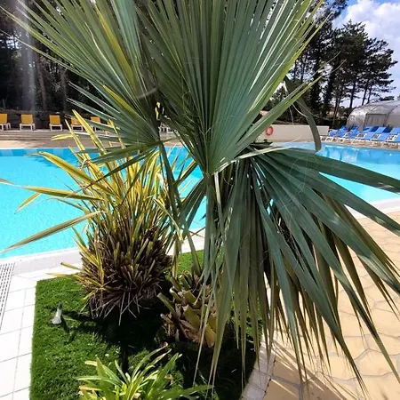 Hébergement de vacances Le Bambou - - Piscine Jacuzzi Sauna Hammam