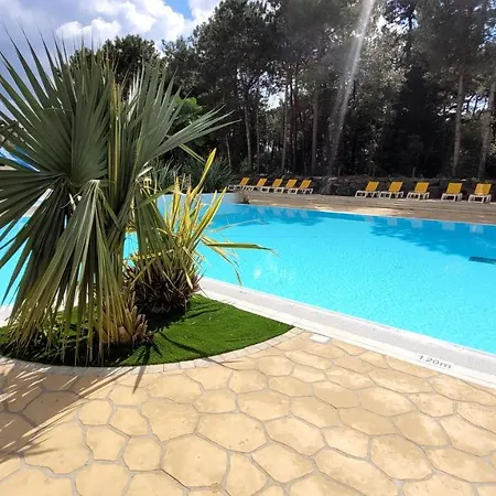 Le Bambou - - Piscine Jacuzzi Sauna Hammam Hébergement de vacances