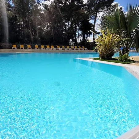 Le Bambou - - Piscine Jacuzzi Sauna Hammam Hébergement de vacances *